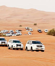 Standard Safari With Dune Buggy