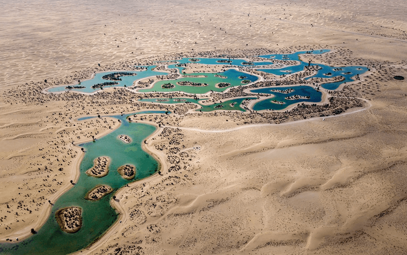 Al Qudra Desert